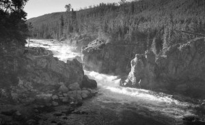 Kodak Plus-X Pan 100 (Expired 1979)