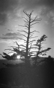 Sunset at Powder Mountain Resort, Utah