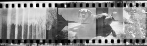 Double Exposure Roll Exchange