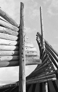 Nikon F2 Photomic (1971) - Kodak Tri-X 400 - Great Salt Lake Shorelands Preserve – Layton, Utah