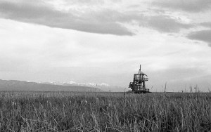 Nikon F2 Photomic (1971) - Kodak Tri-X 400 - Great Salt Lake Shorelands Preserve – Layton, Utah