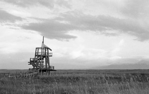 Nikon F2 Photomic (1971) - Kodak Tri-X 400 - Great Salt Lake Shorelands Preserve – Layton, Utah