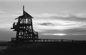 Nikon F2 Photomic (1971) - Kodak Tri-X 400 - Great Salt Lake Shorelands Preserve – Layton, Utah