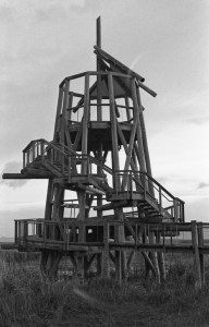 Nikon F2 Photomic (1971) - Kodak Tri-X 400 - Great Salt Lake Shorelands Preserve – Layton, Utah