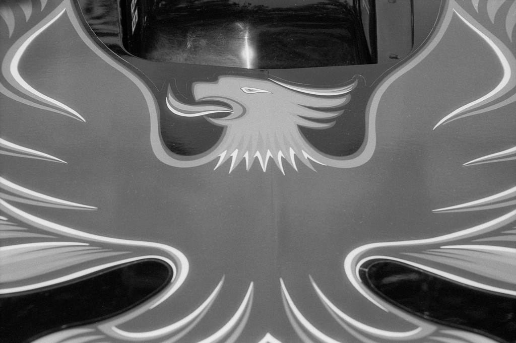 Cache Valley Cruise-In 2021 - Logan, Utah.