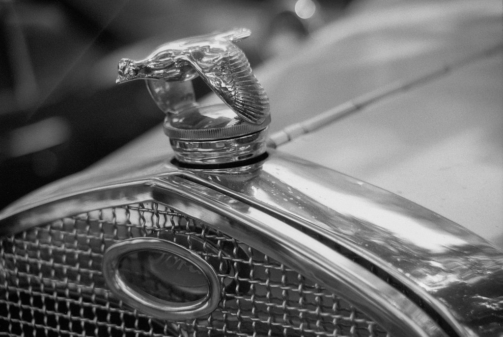 Cache Valley Cruise-In 2021 - Logan, Utah.