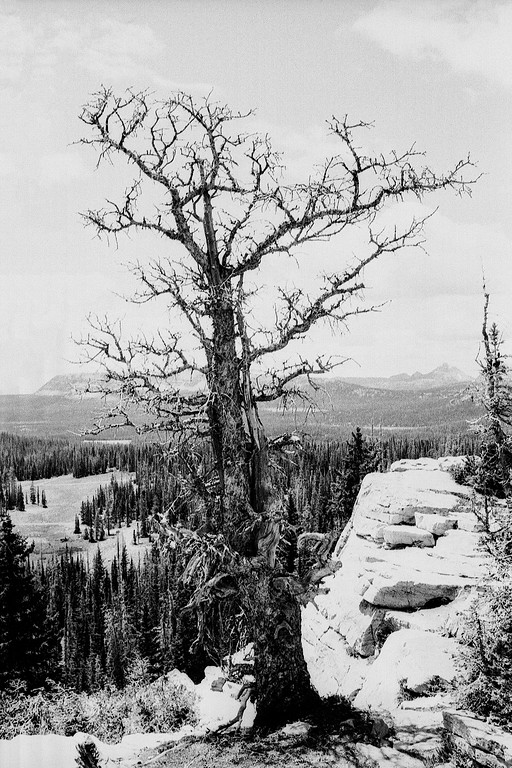 Mirror Lake Highway, Utah