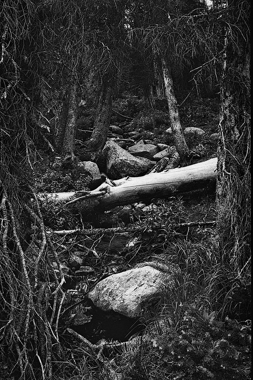Mirror Lake Trail, Utah