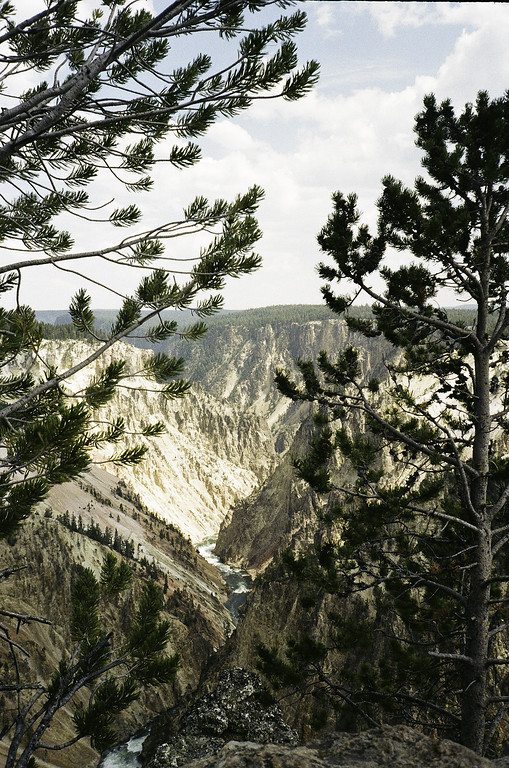 Yellowstone National Park
