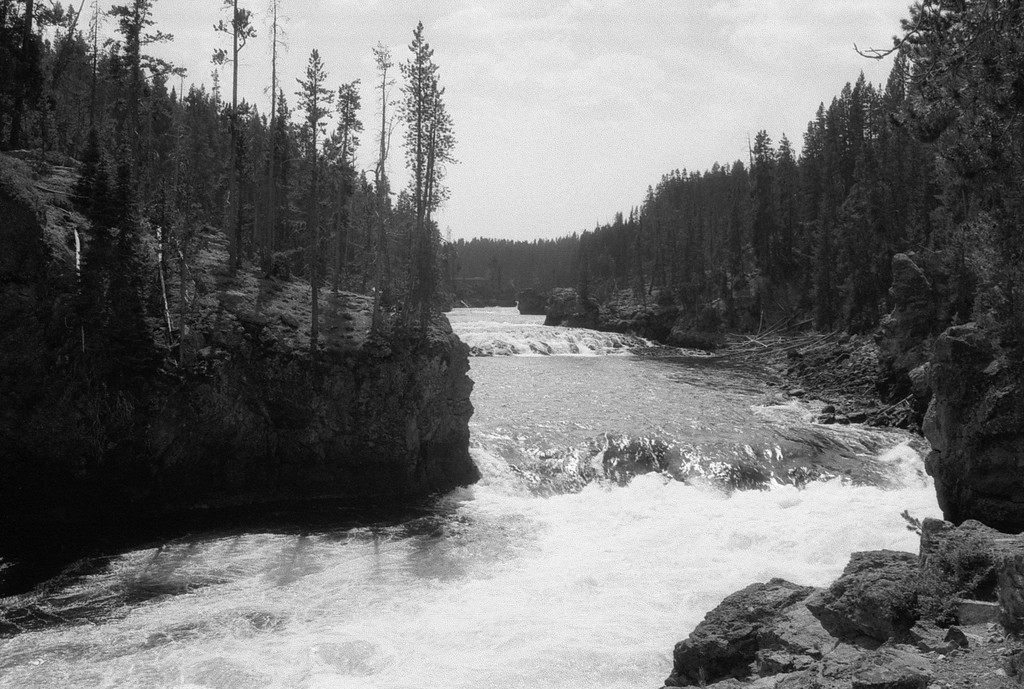 Yellowston River - Yellowstone National Park, Wyoming.