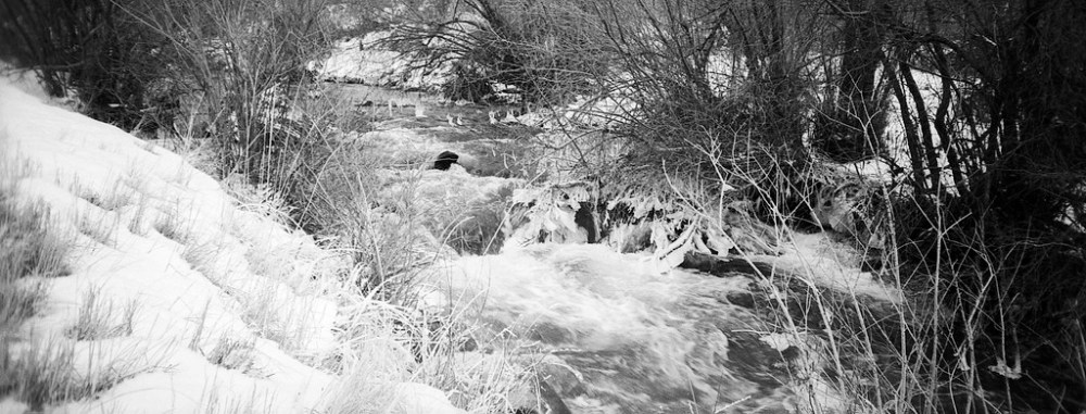 South Fork River, Utah