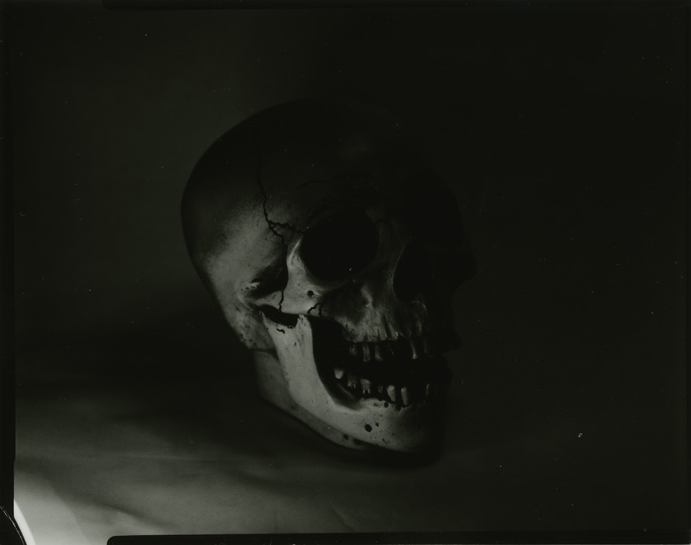 Ilford Direct Positive Paper - Skull 01