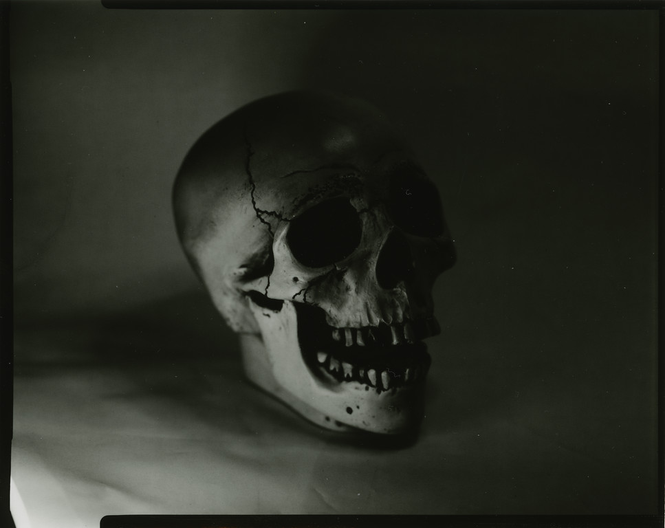 Ilford Direct Positive Paper - Skull 02