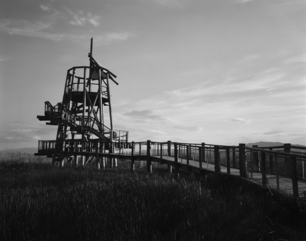 RSS 4x5 Z Pinhole - Great Salt Lake Shorelands Preserve