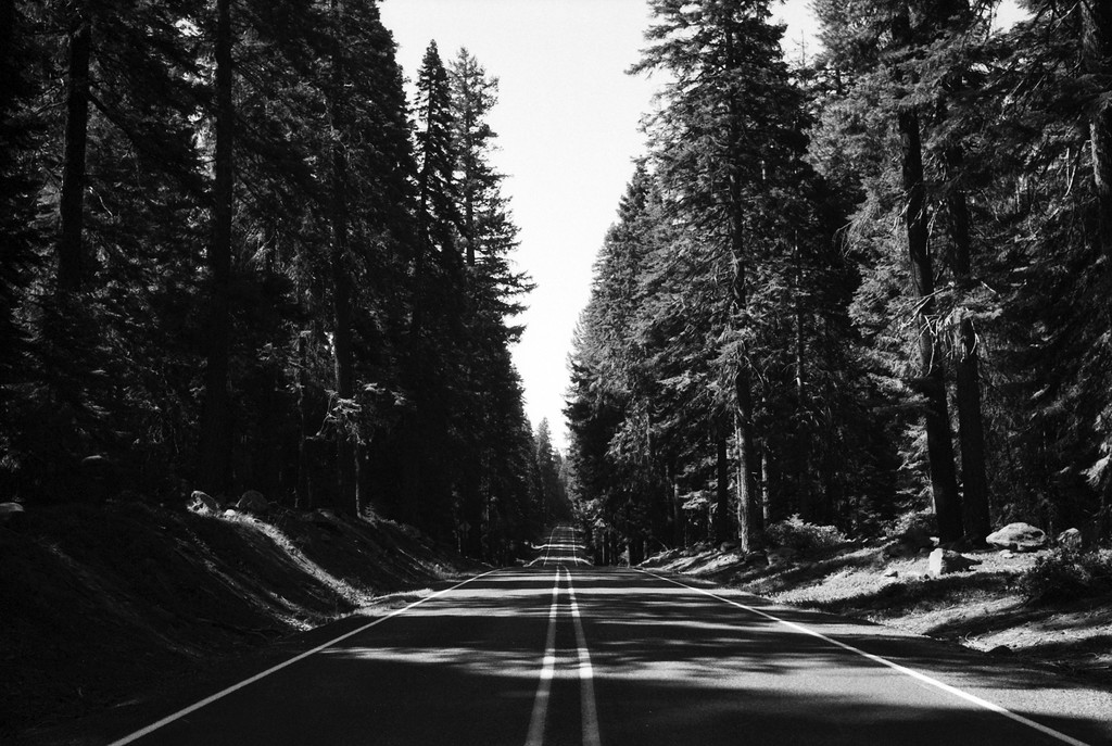 Diamond Lake Highway, Oregon