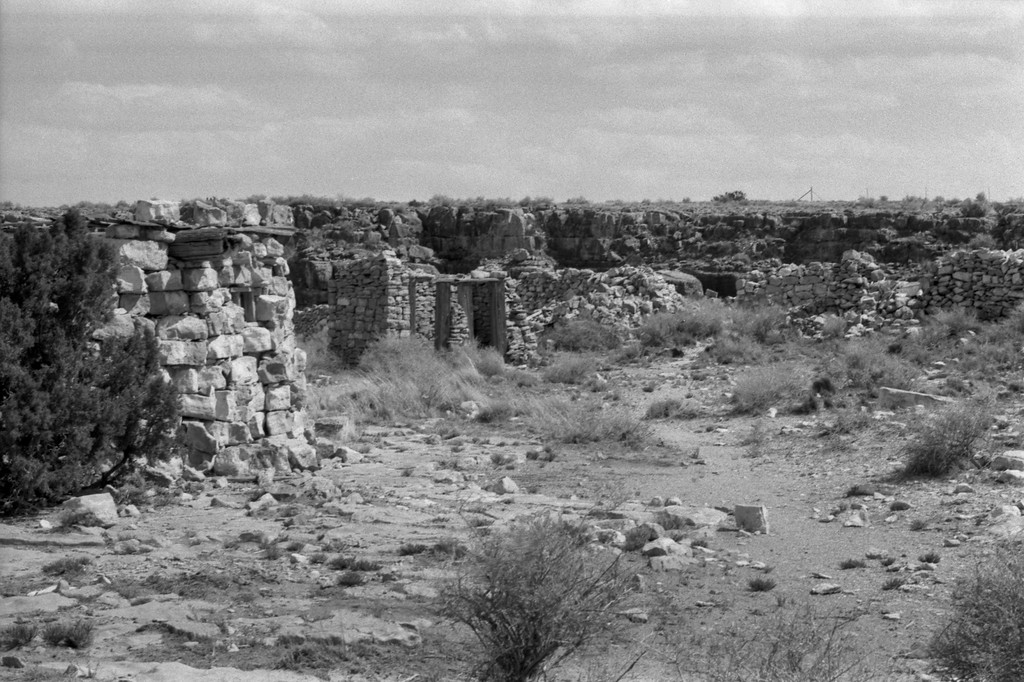 Mountain Lions Zoo - Route 66 - Two Guns, Arizona