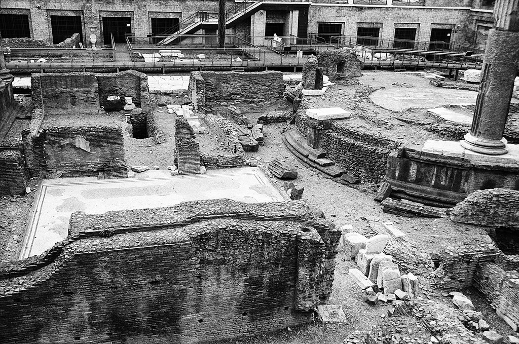 Largo di Torre Argentina - Rome, Italy
