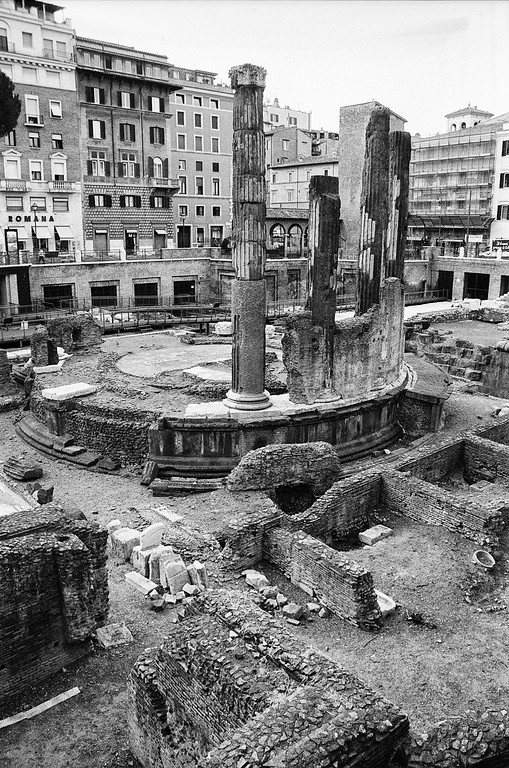 Largo di Torre Argentina - Rome, Italy