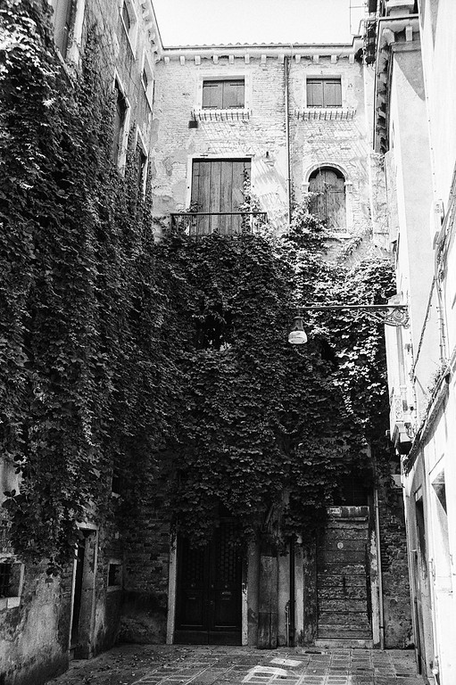 Ivy-Covered Courtyard - Venice, Italy