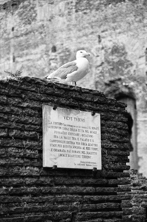 Vicus Tuscus - Roman Forum in Rome, Italy