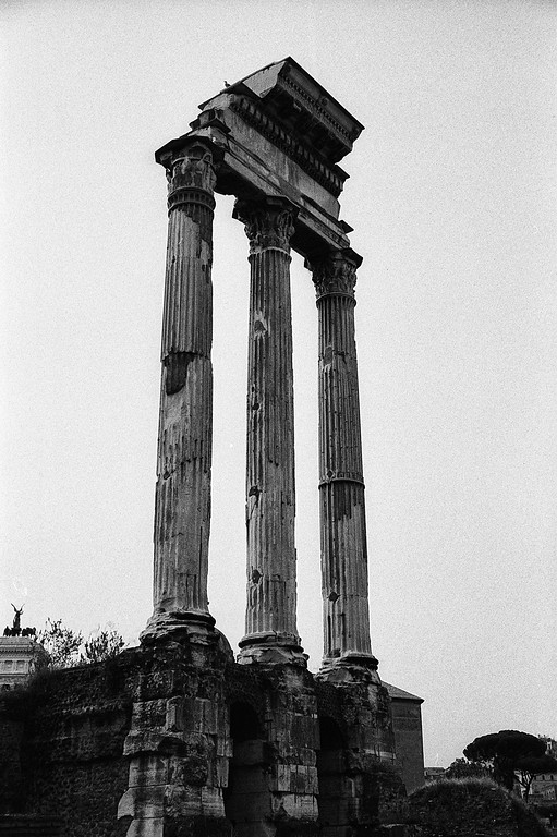 Temple of Castor and Pollux - Roman Forum in Rome, Italy