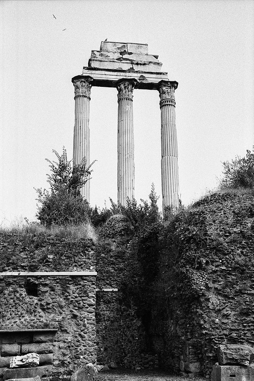 Temple of Castor and Pollux - Roman Forum in Rome, Italy